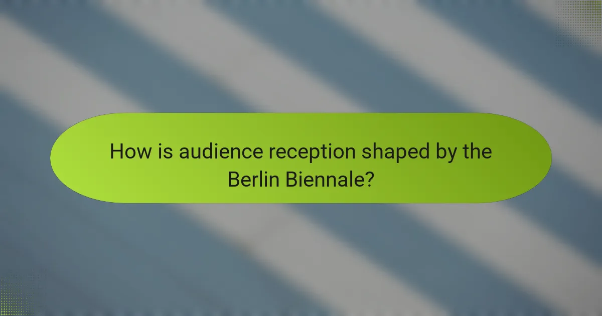 How is audience reception shaped by the Berlin Biennale?