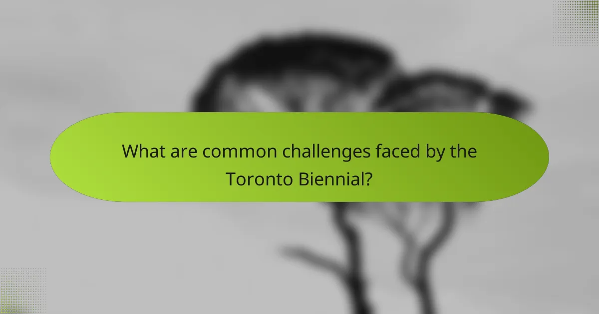 What are common challenges faced by the Toronto Biennial?