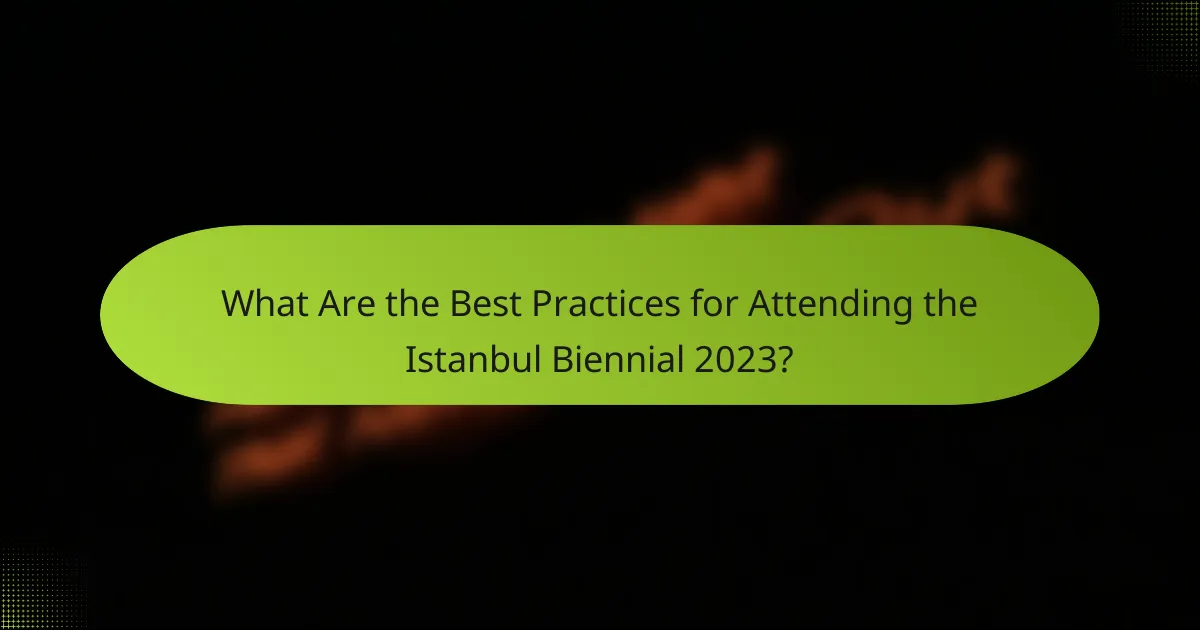 What Are the Best Practices for Attending the Istanbul Biennial 2023?