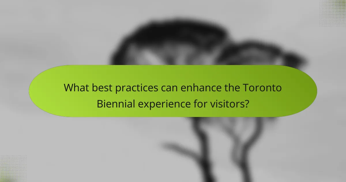 What best practices can enhance the Toronto Biennial experience for visitors?